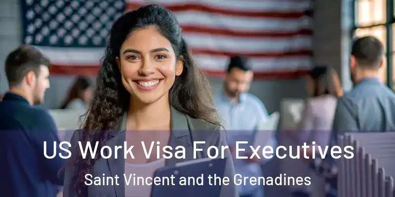  US Work Visa For Executives Saint Vincent and the Grenadines